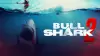 Bull Shark 2
