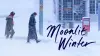 Moonlit Winter