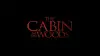 The Cabin in the Woods