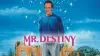 Mr. Destiny