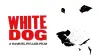 White Dog