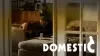 Domestic