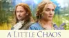 A Little Chaos