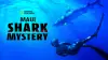 Maui Shark Mystery
