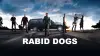 Rabid Dogs