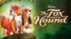The Fox and the Hound
