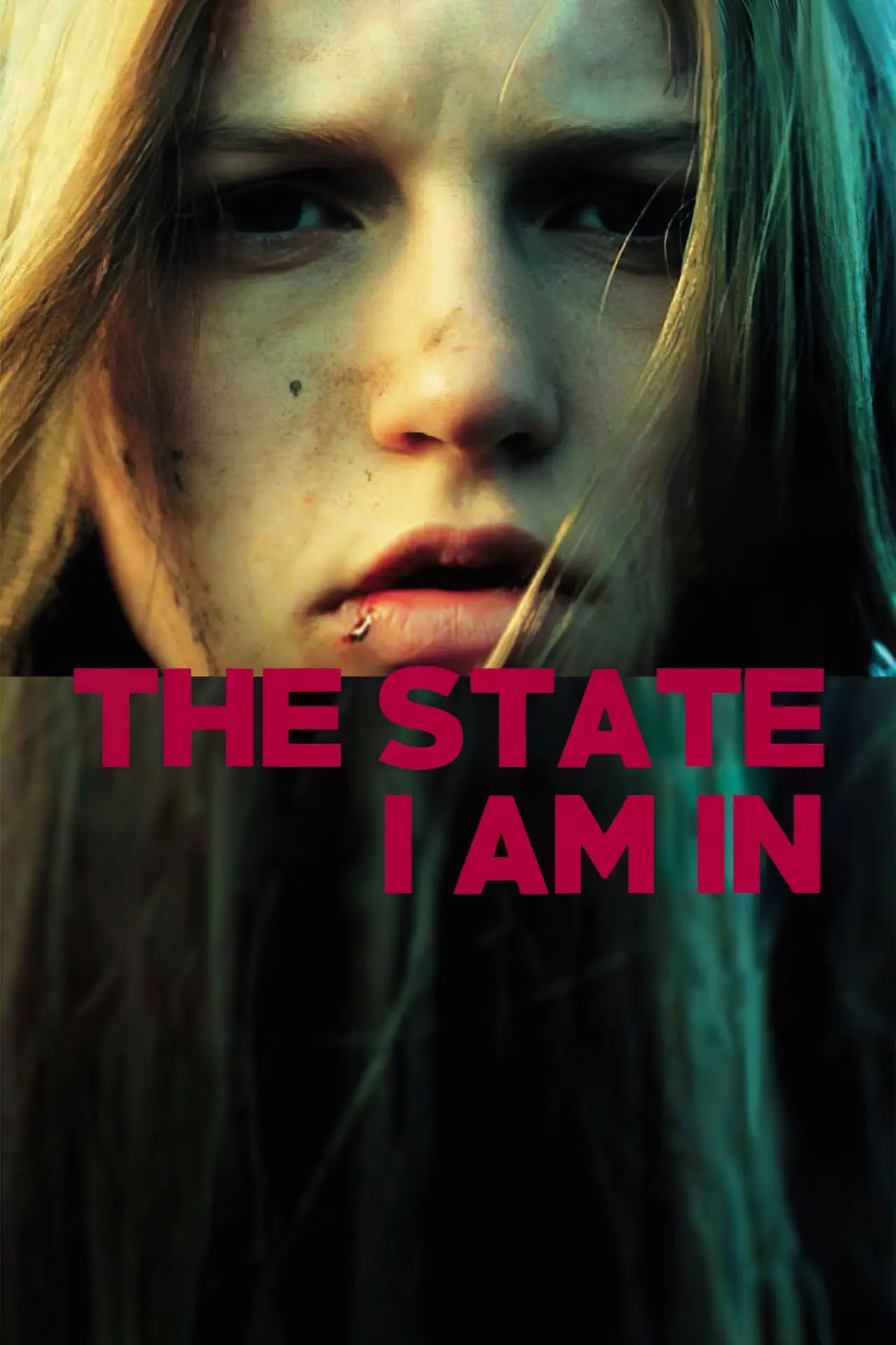 Movie poster "The State I Am In"