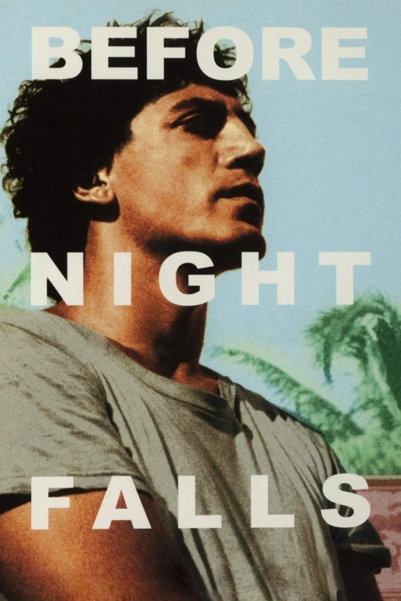Movie poster "Before Night Falls"