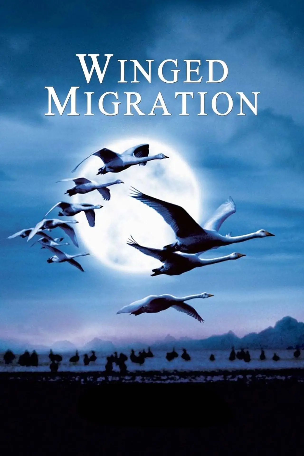 Movie poster "Winged Migration"