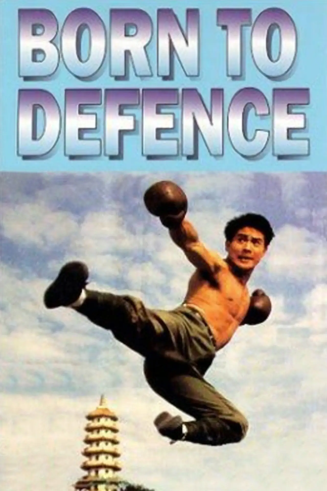 Movie poster "Born to Defence"