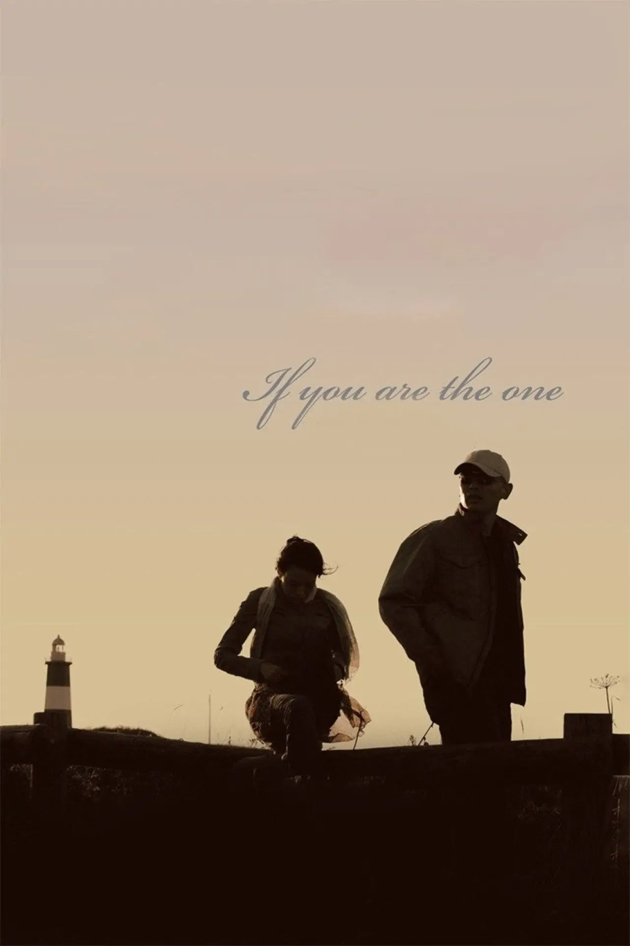 Movie poster "If You Are the One"