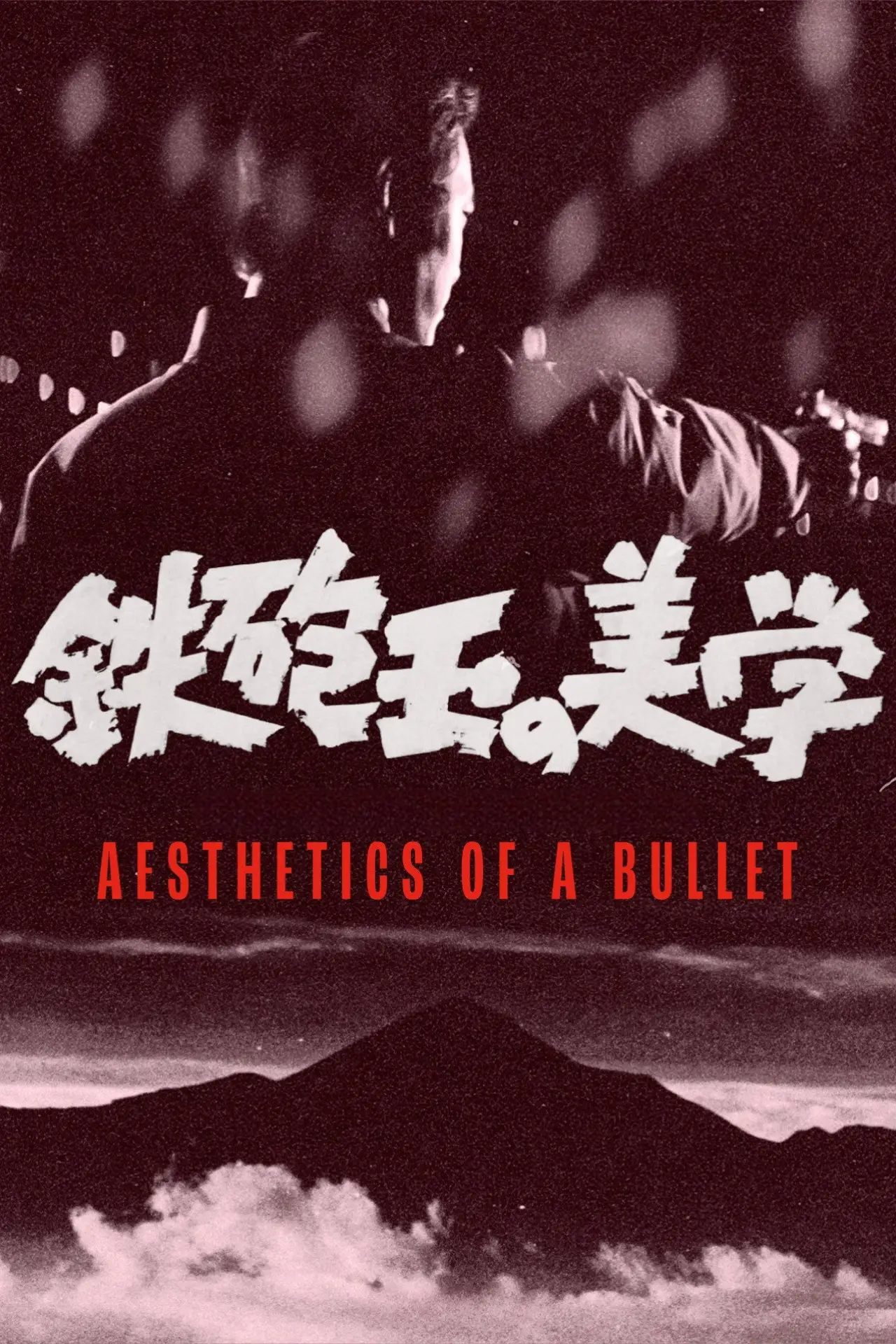 Movie poster "Aesthetics of a Bullet"