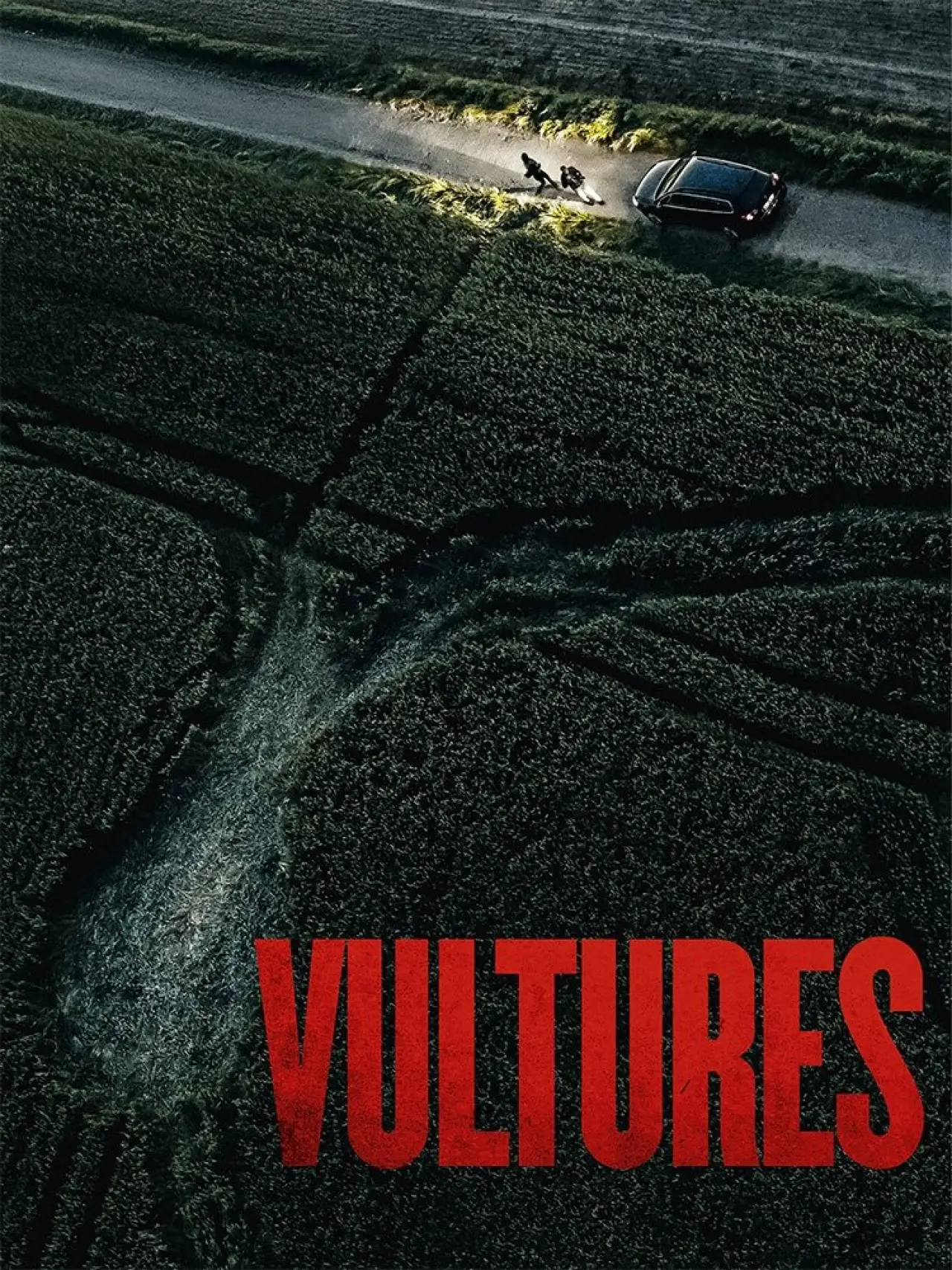 Movie poster "Vultures"