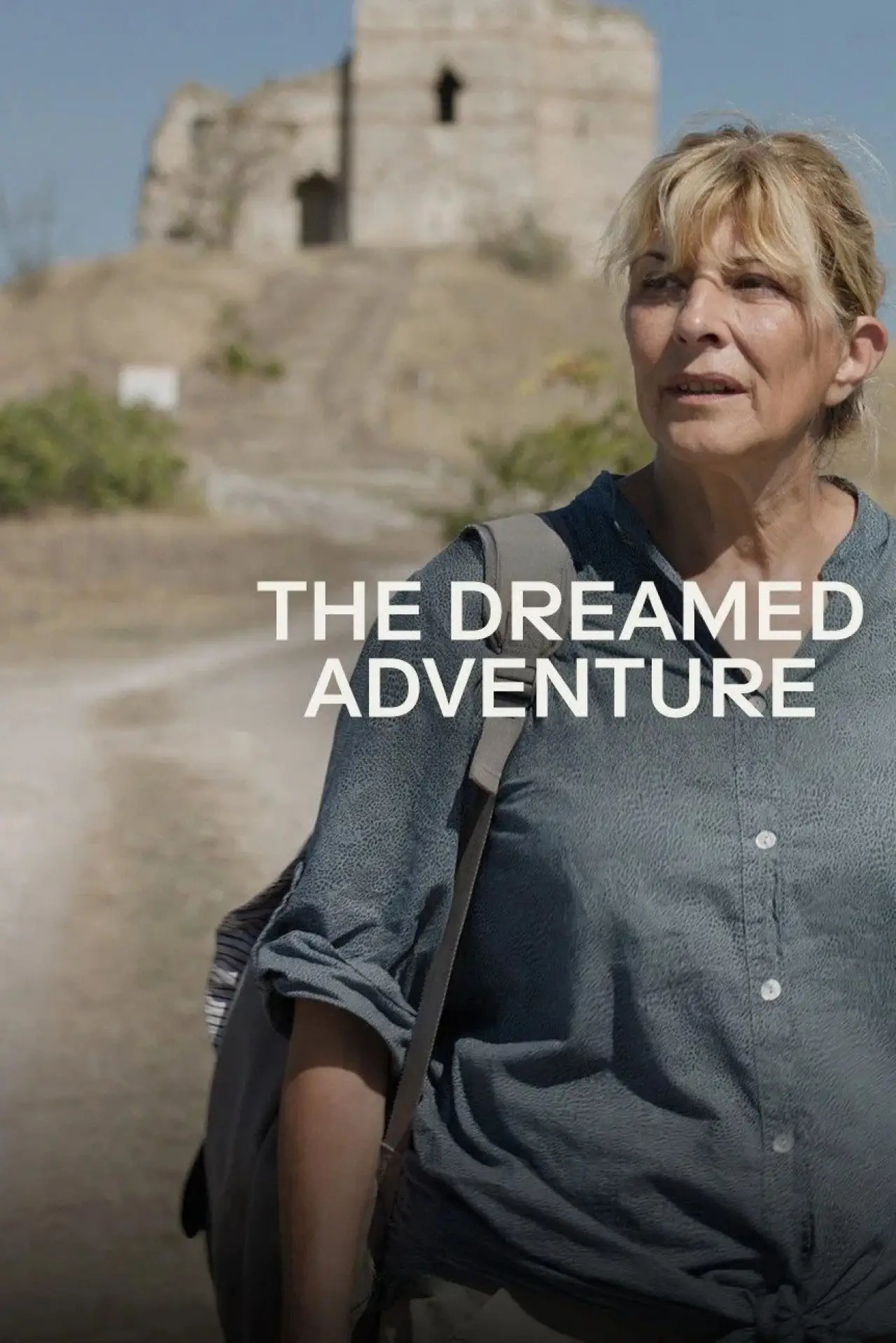 Movie poster "The Dreamed Adventure"