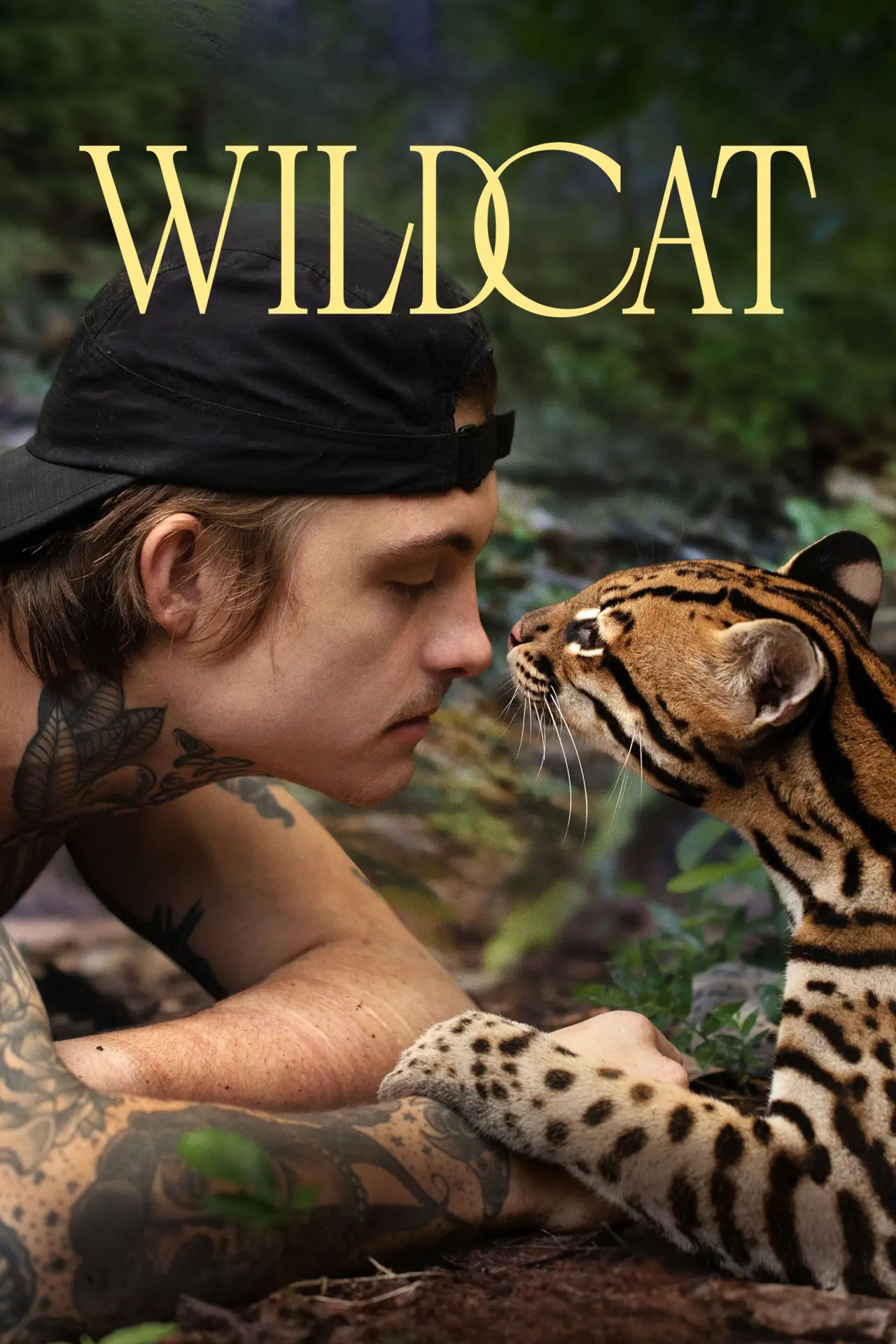 Movie poster "Wildcat"