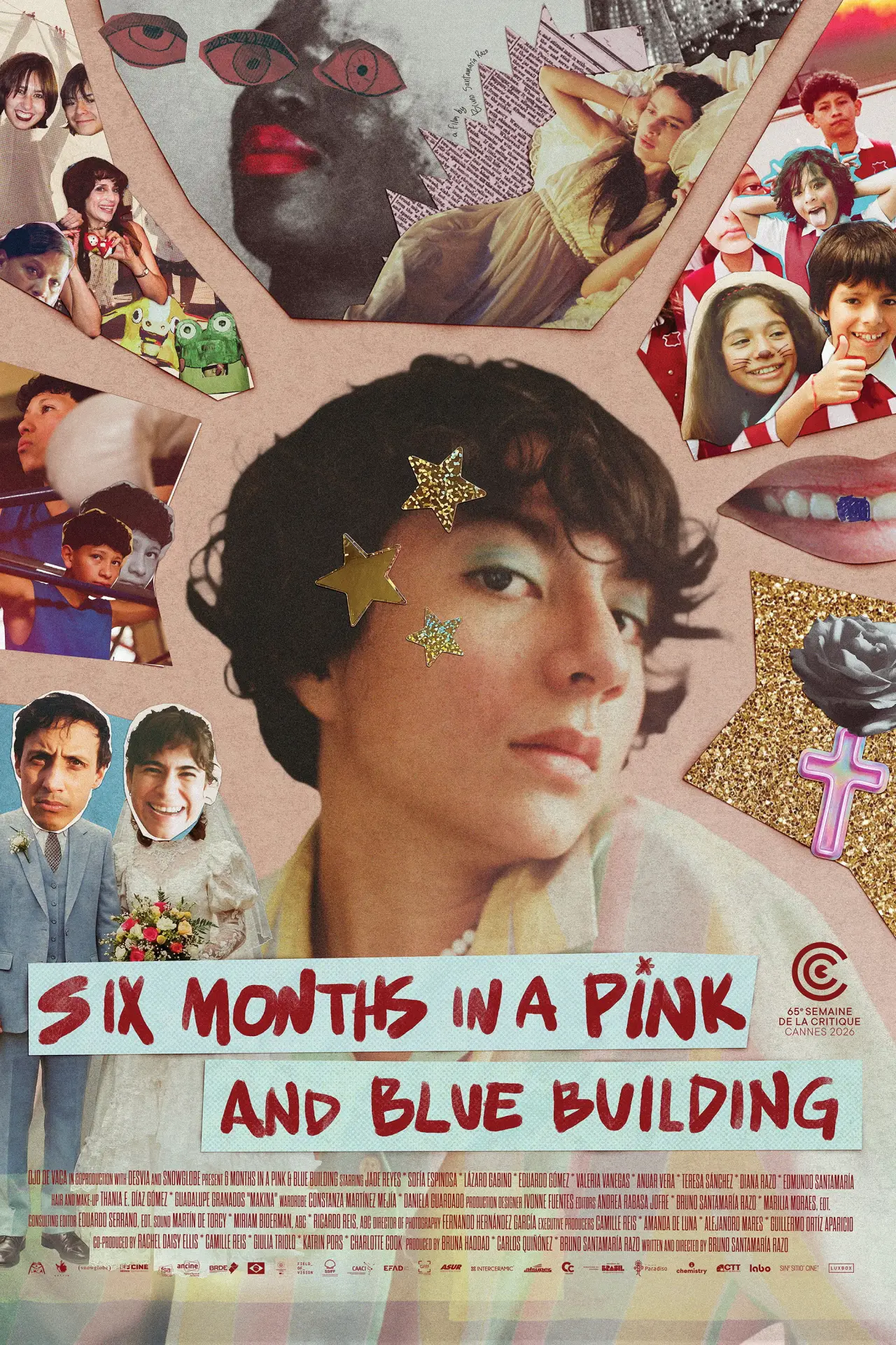 Movie poster "Six Months in a Pink and Blue Building"