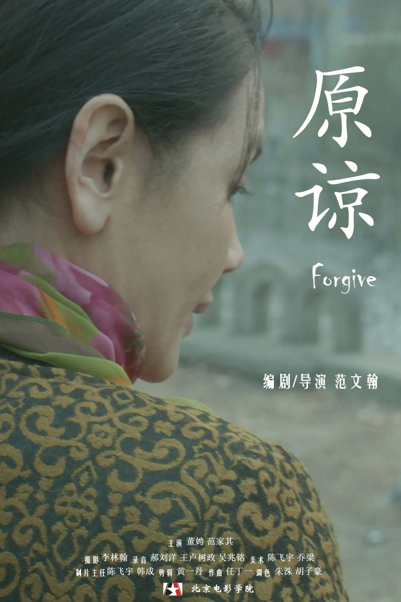 Movie poster "Forgive"