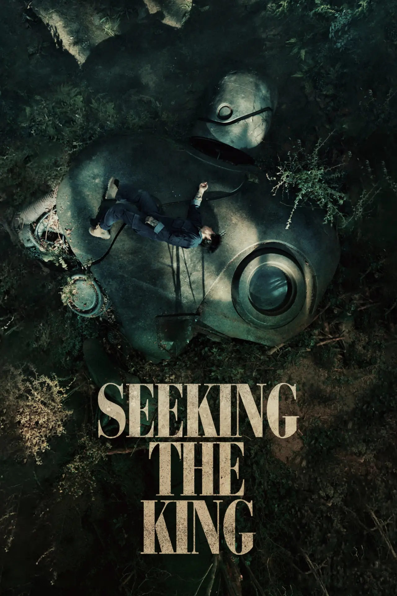 Movie poster "Seeking the King"