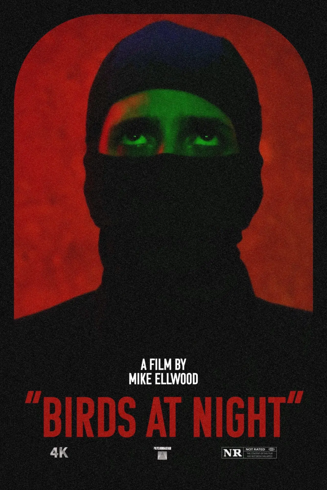 Movie poster "Birds at Night"
