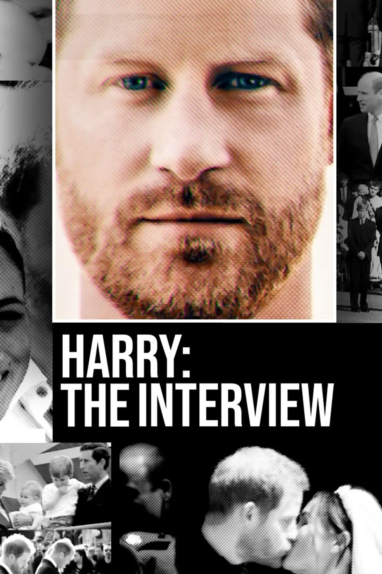 Movie poster "Harry: The Interview"