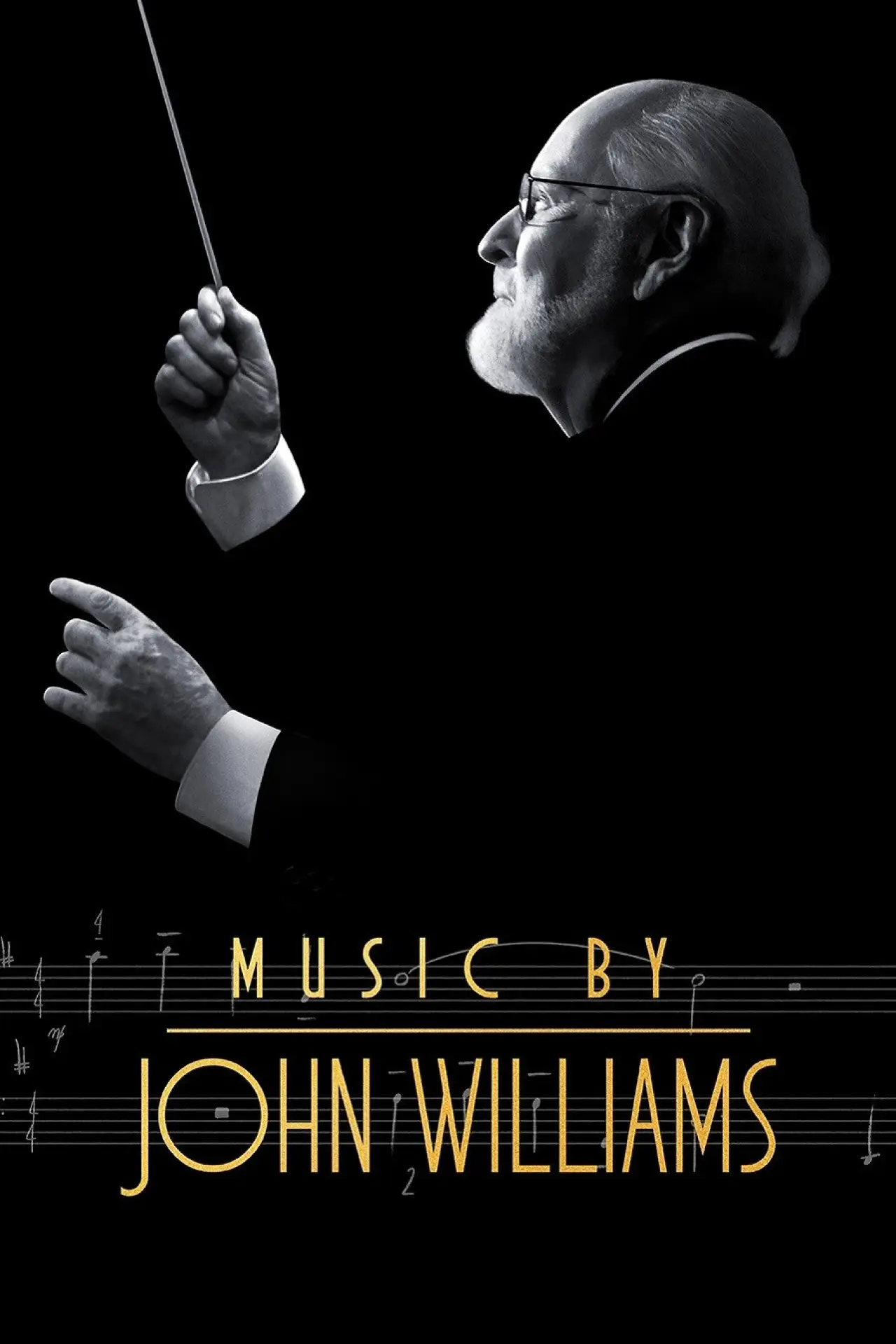 Movie poster "Music by John Williams"