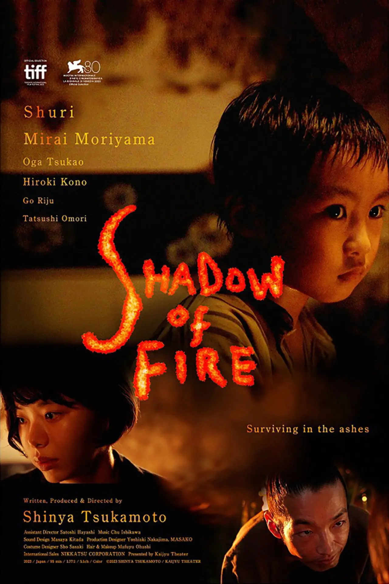Movie poster "Shadow of Fire"