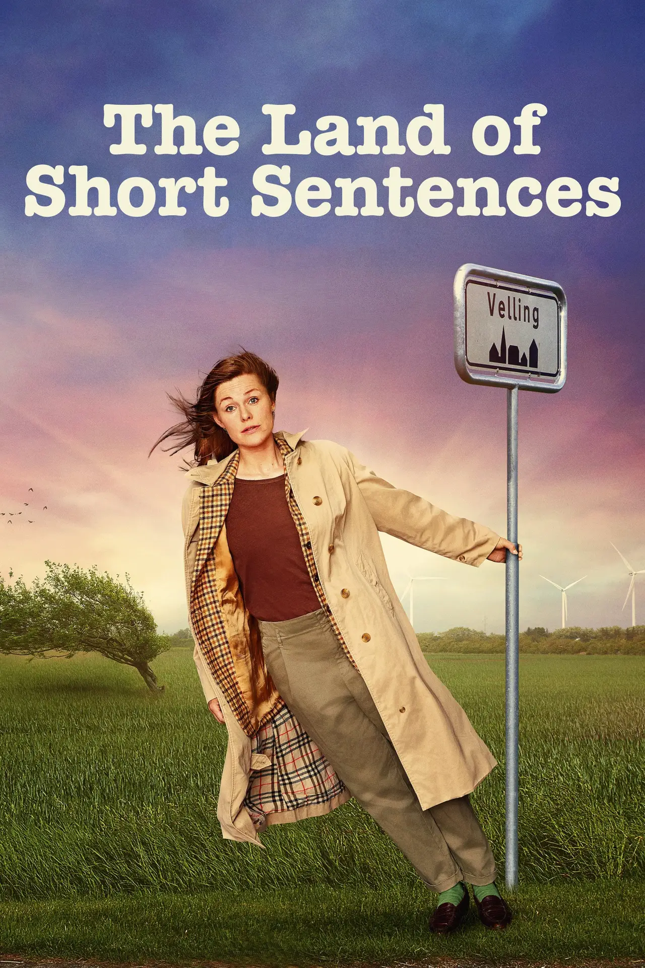 Movie poster "The Land of Short Sentences"