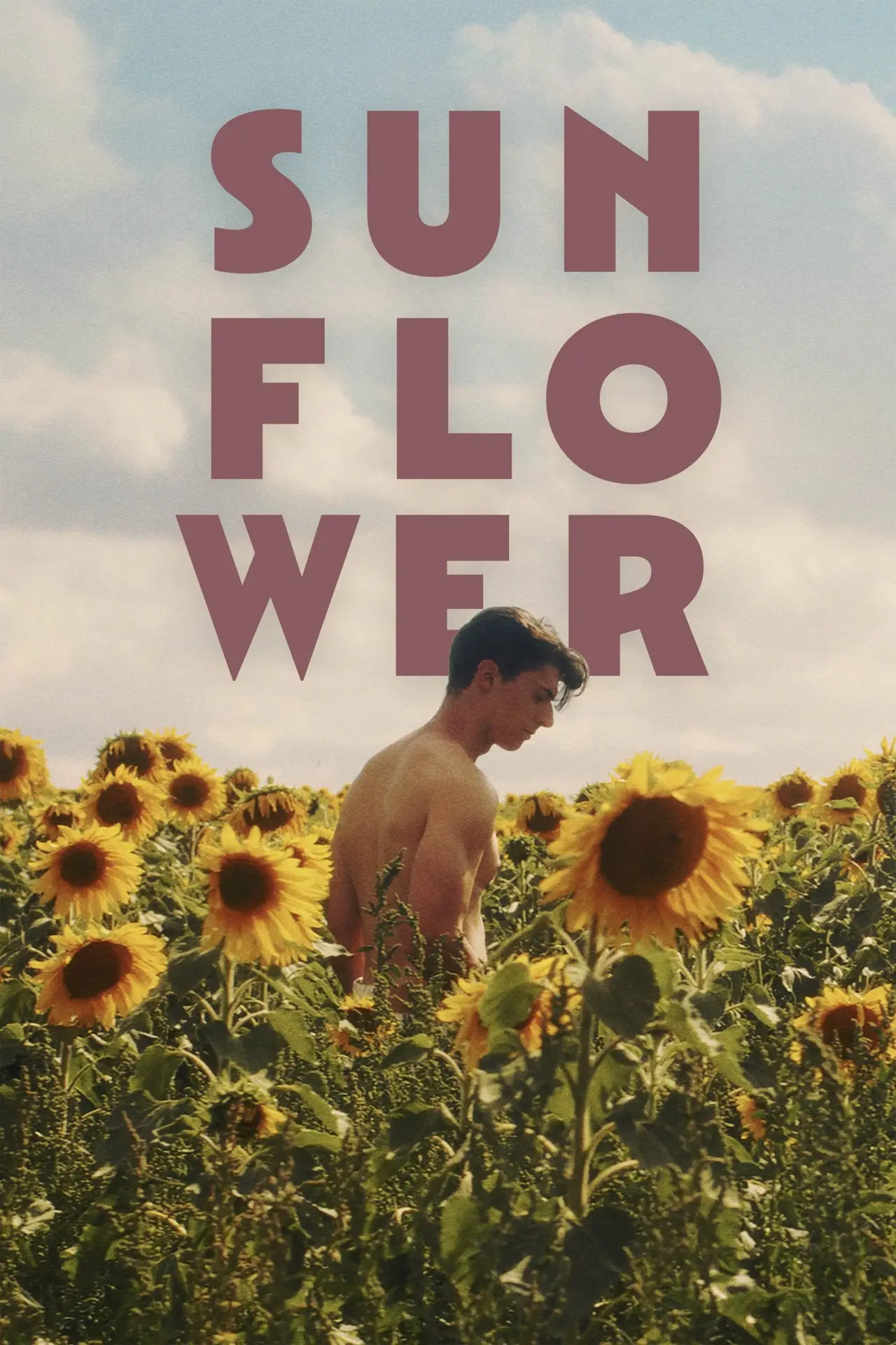 Movie poster "Sunflower"