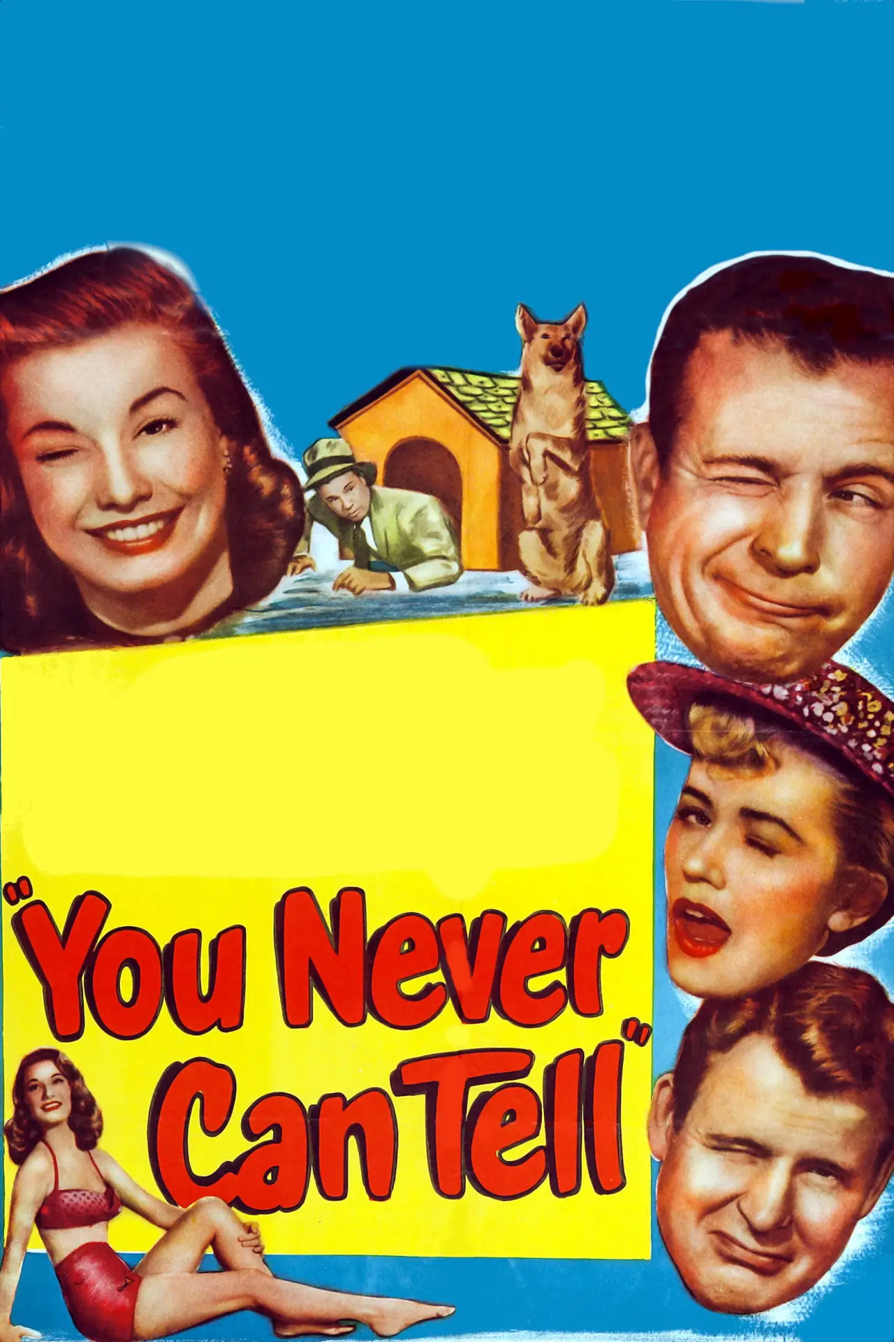 Movie poster "You Never Can Tell"