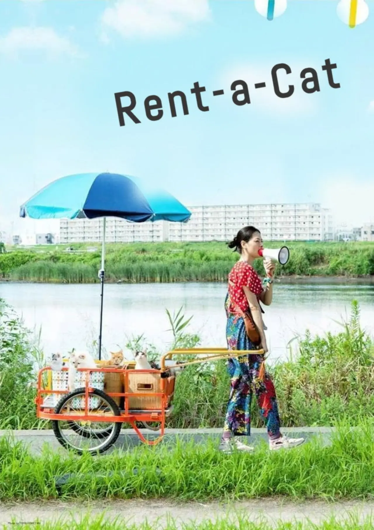 Movie poster "Rent-a-Cat"