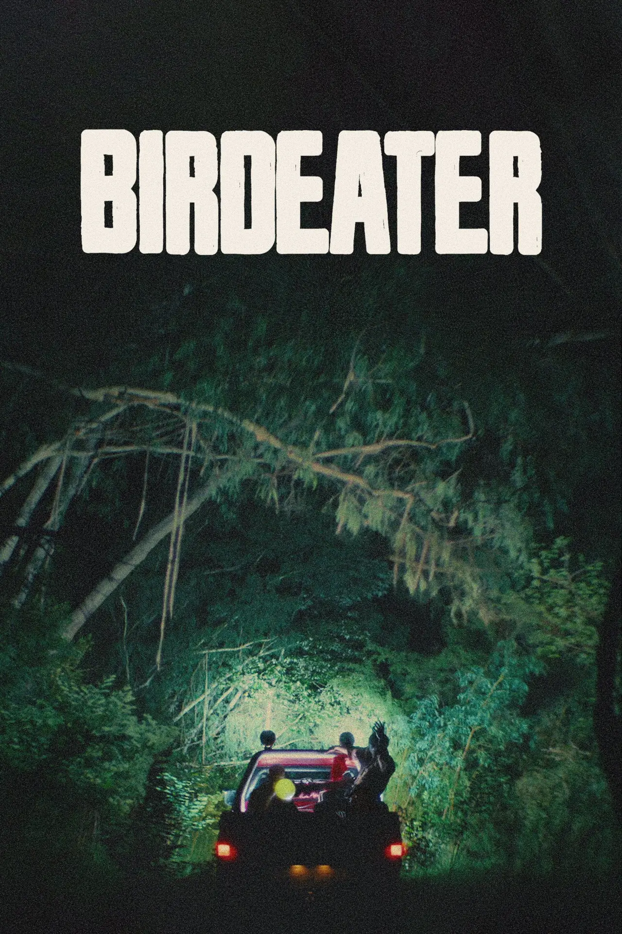 Movie poster "Birdeater"
