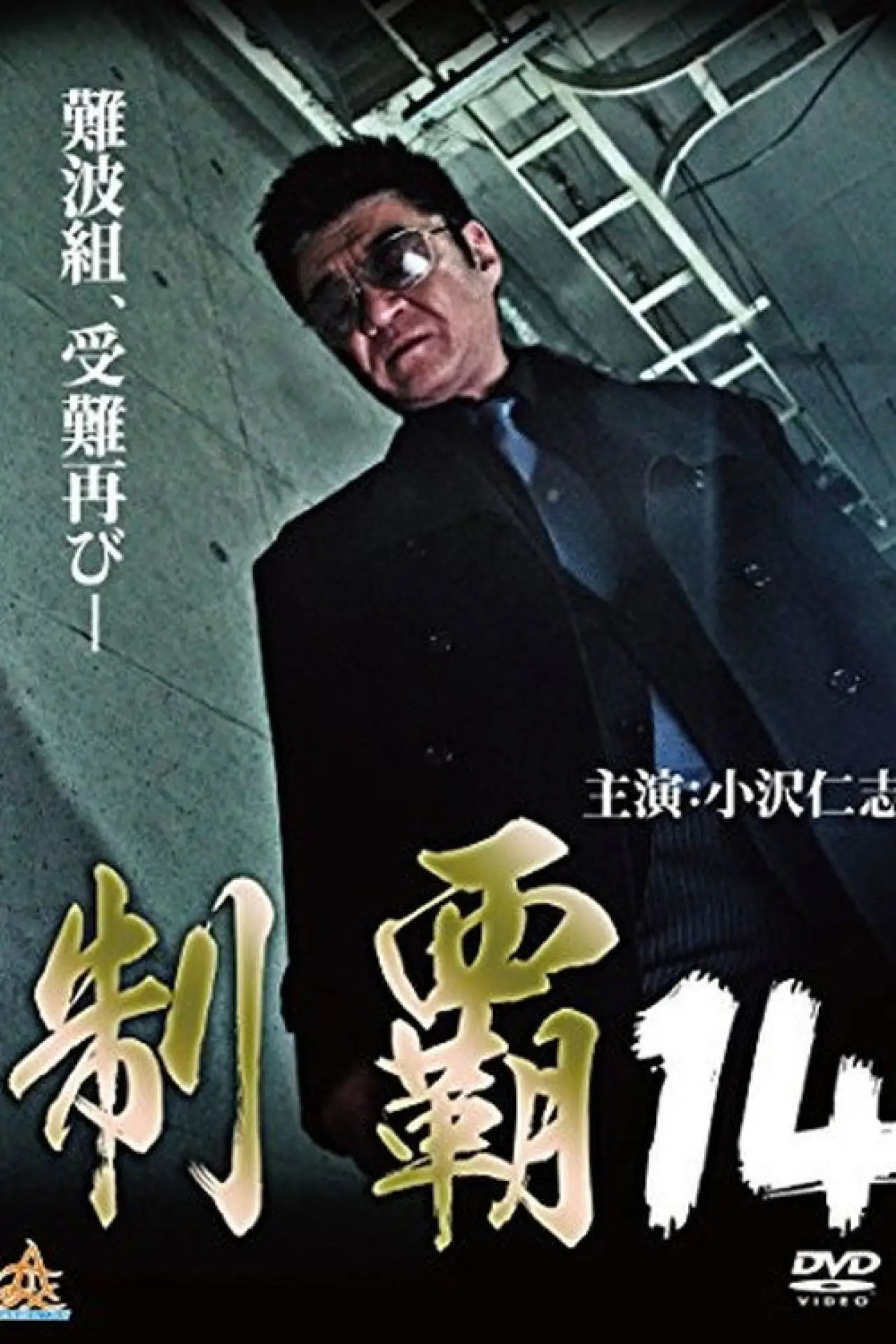 Movie poster "Conquest 14"