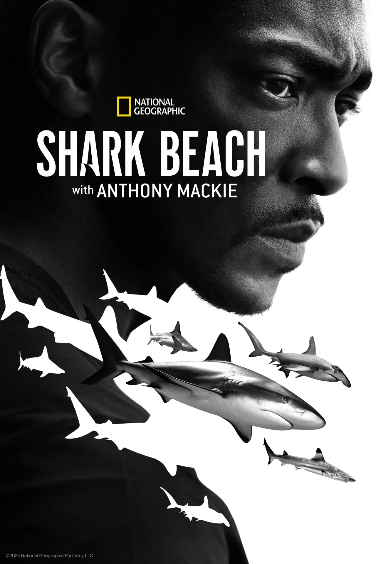 Movie poster "Shark Beach with Anthony Mackie"