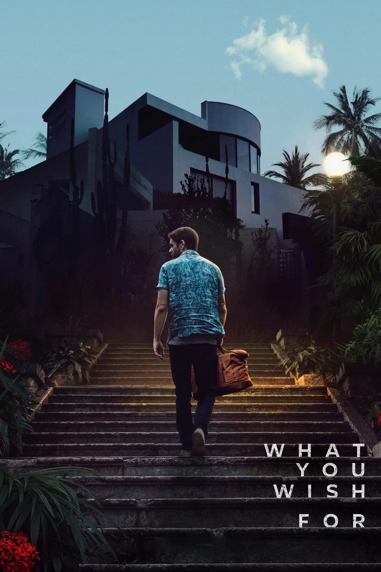 Movie poster "What You Wish For"
