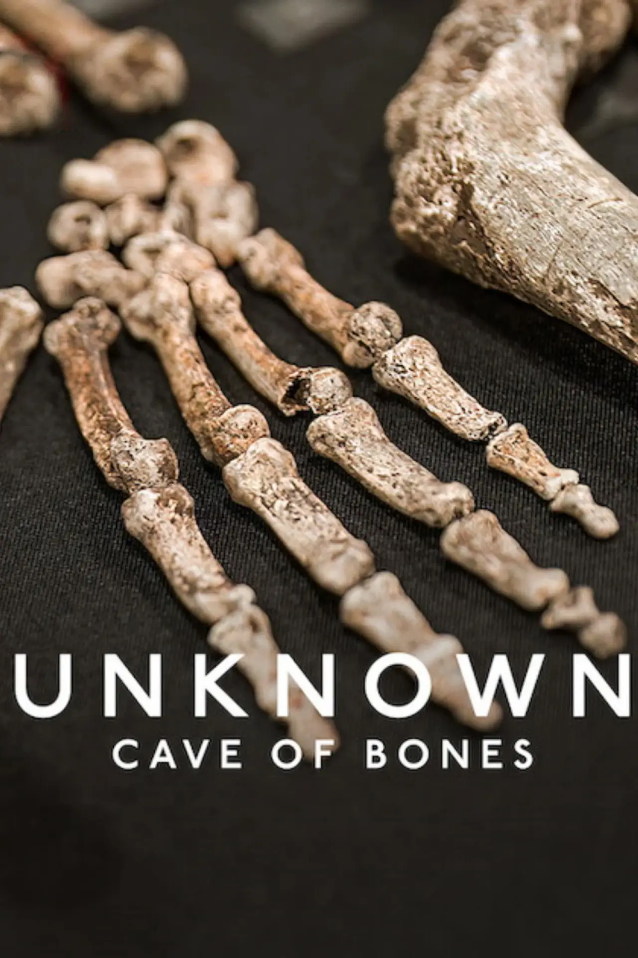 Movie poster "Unknown: Cave of Bones"