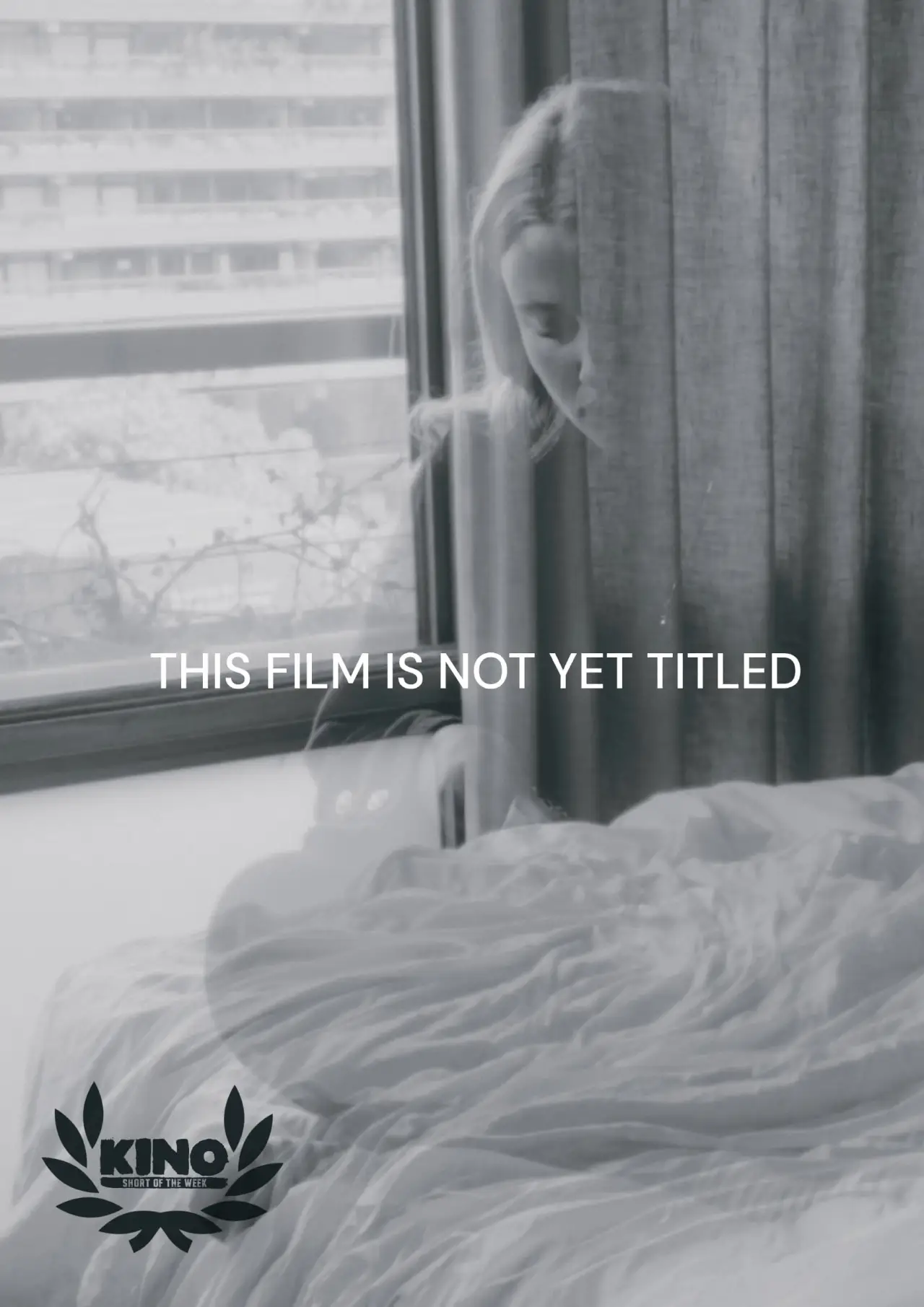 Movie poster "This Film Is Not Yet Titled"