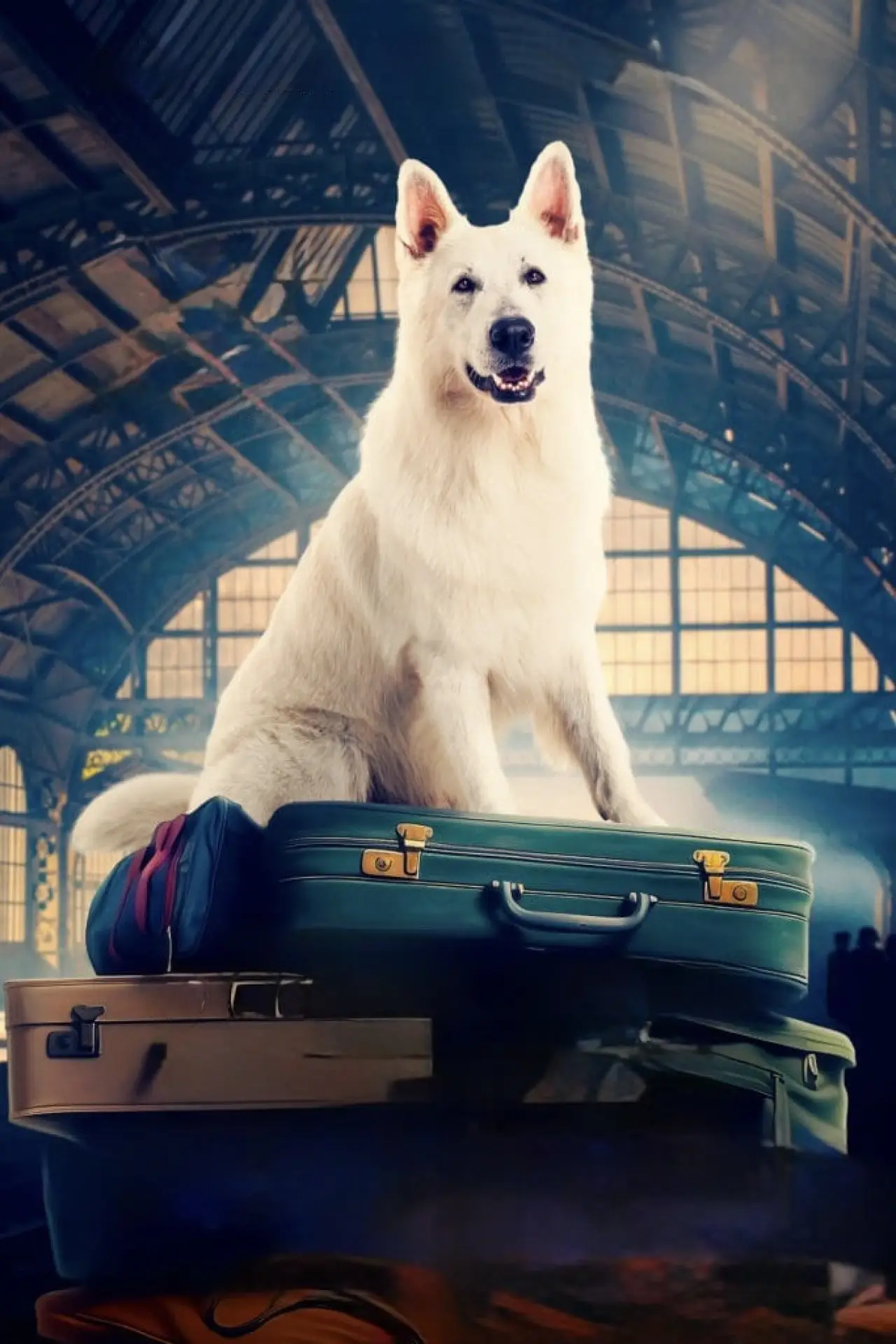 Movie poster "Lampo, the Travelling Dog"