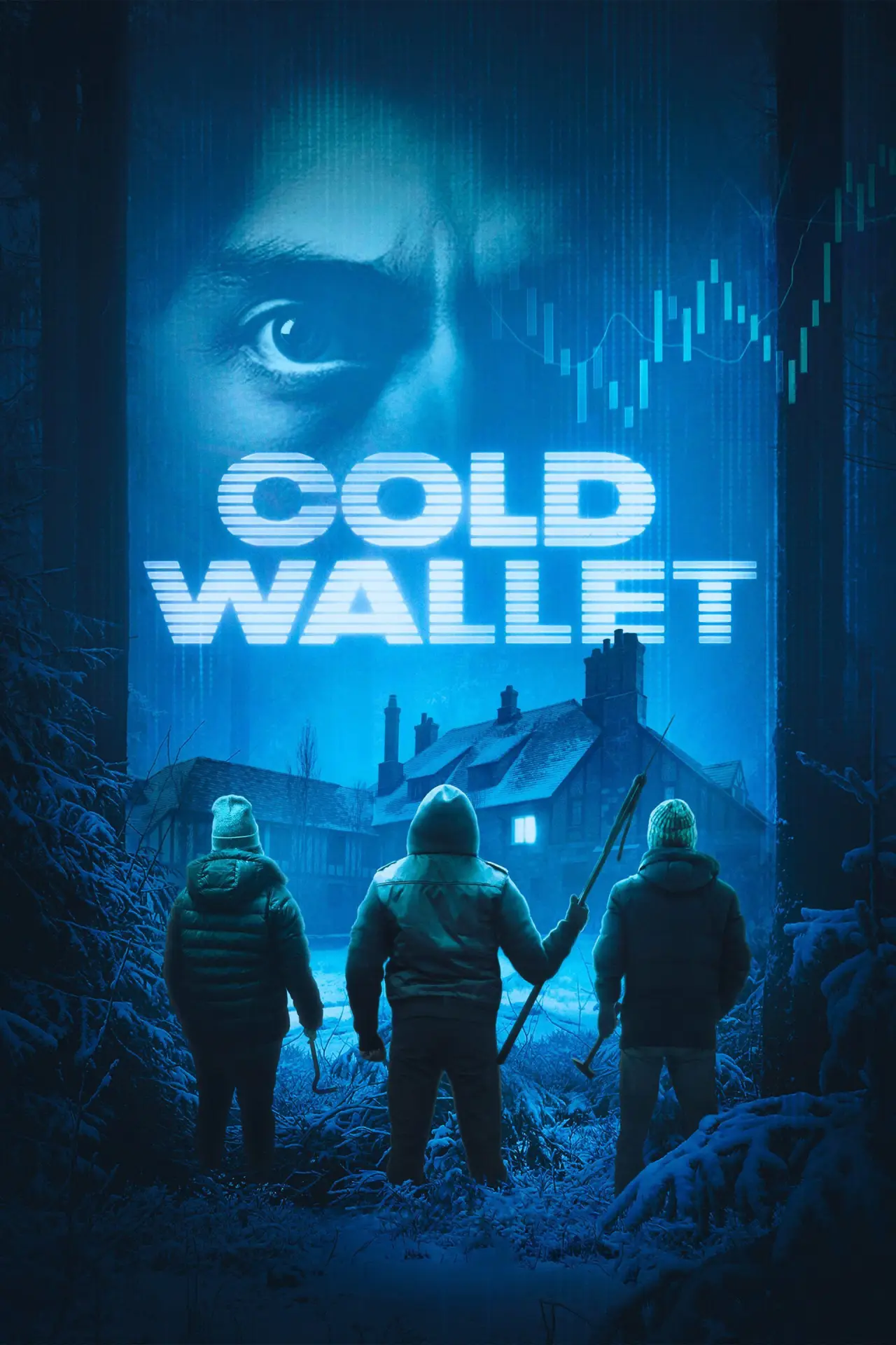 Movie poster "Cold Wallet"