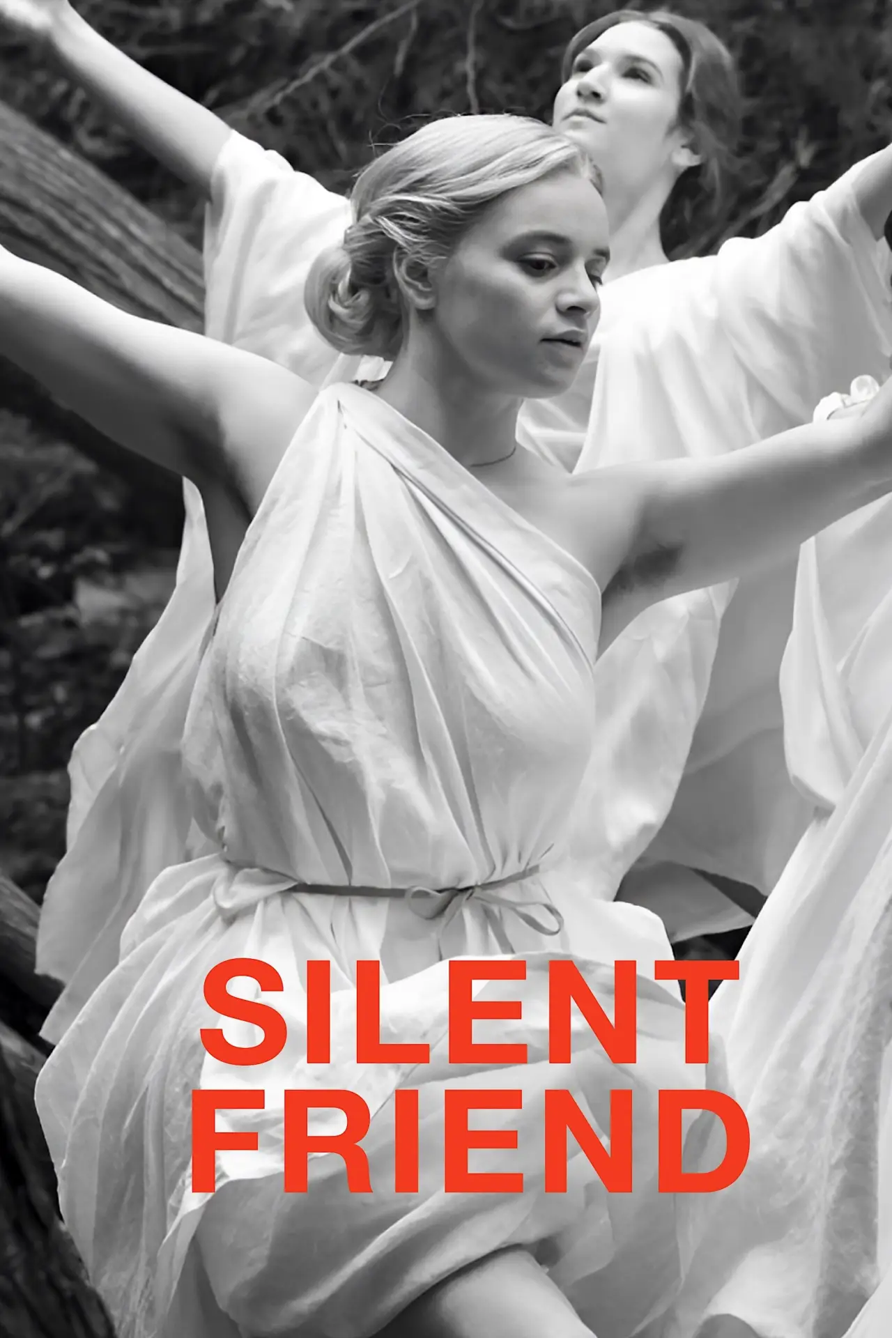 Movie poster "Silent Friend"