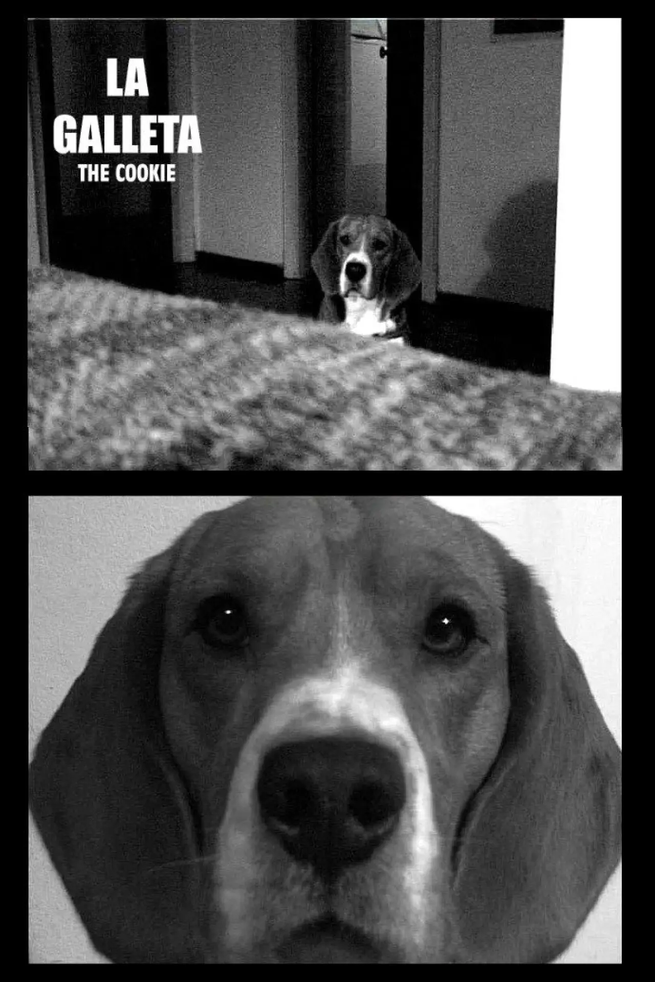 Movie poster "The Cookie"
