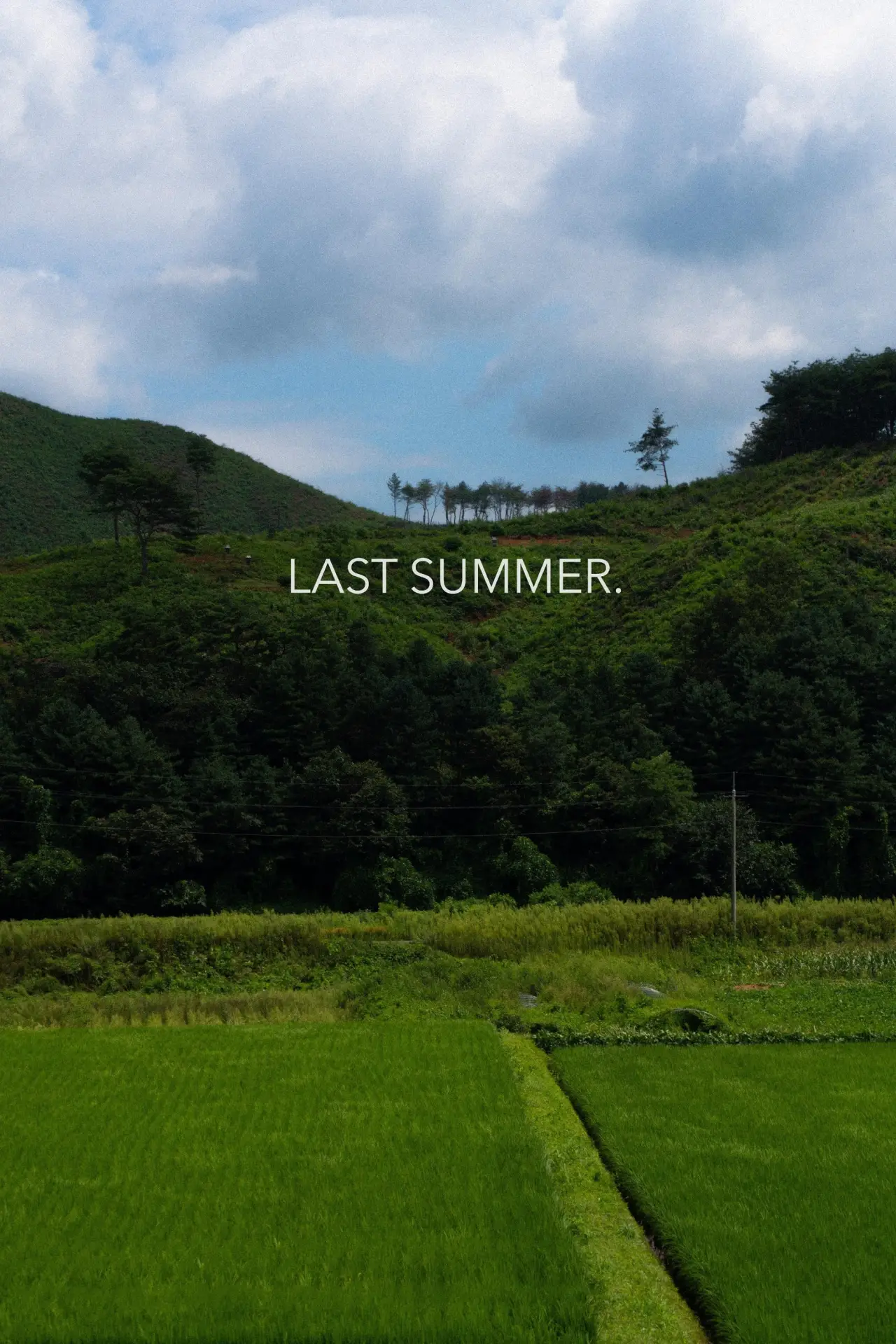 Movie poster "Last Summer"