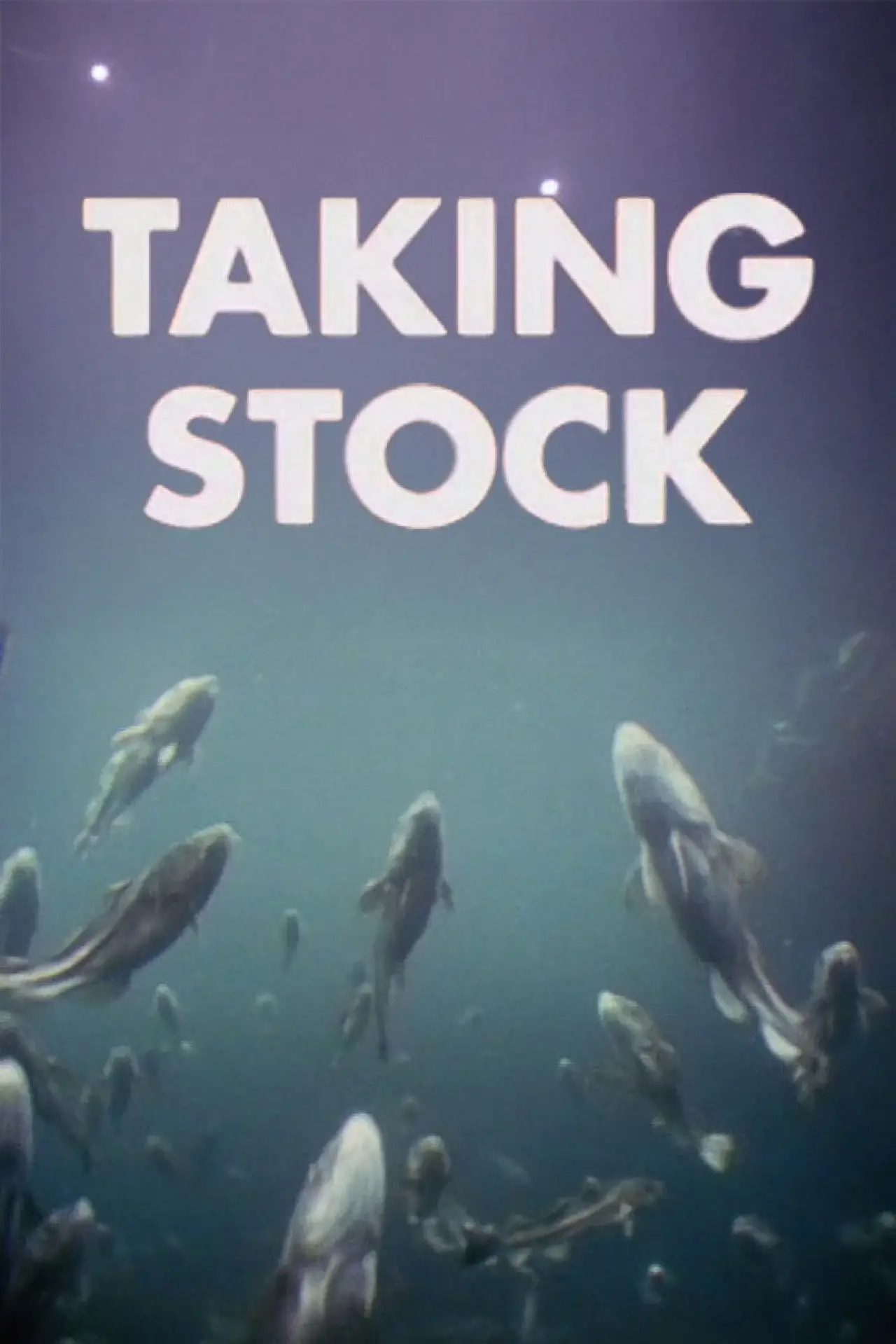 Movie poster "Taking Stock"