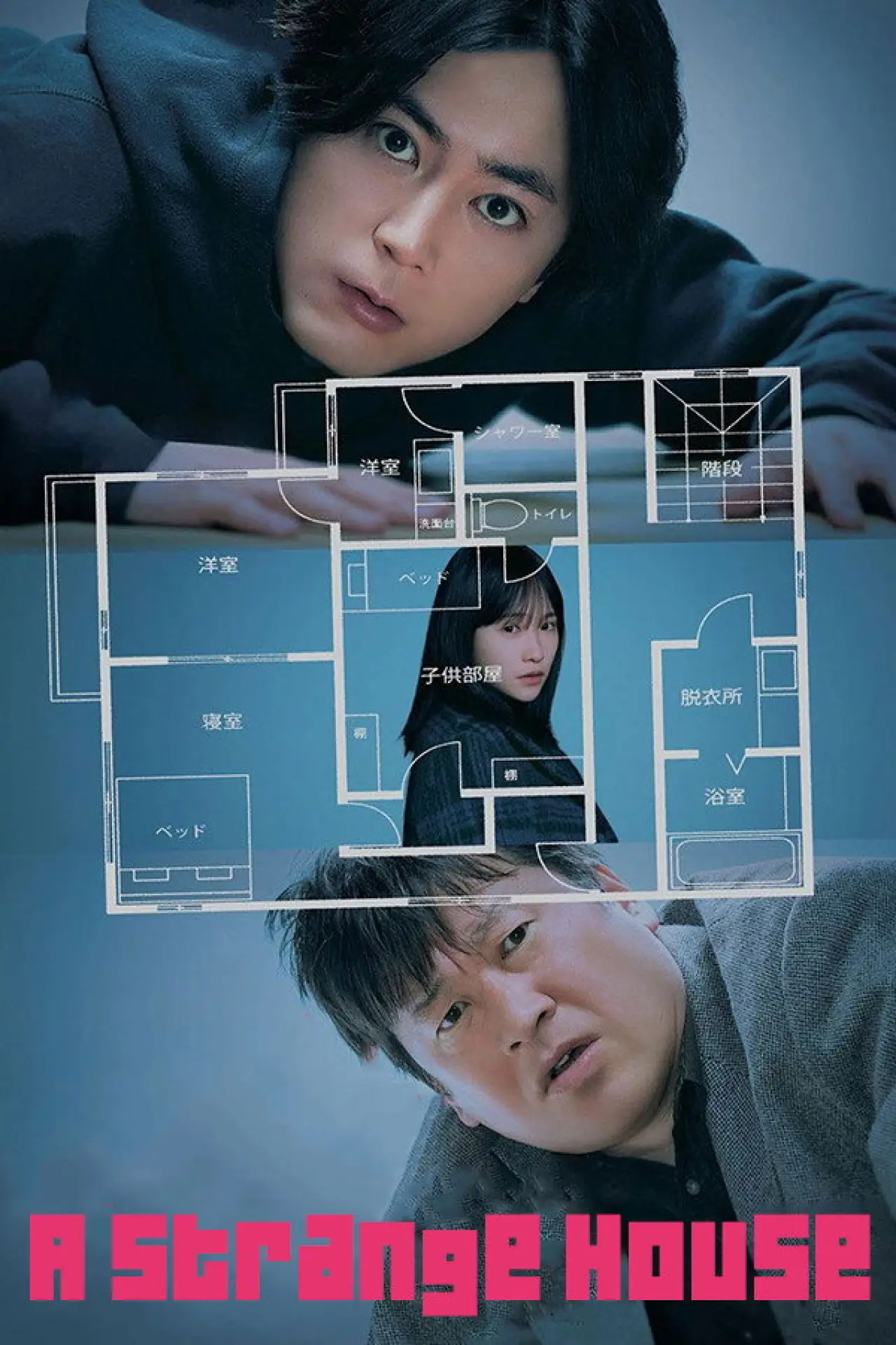 Movie poster "A Strange House"