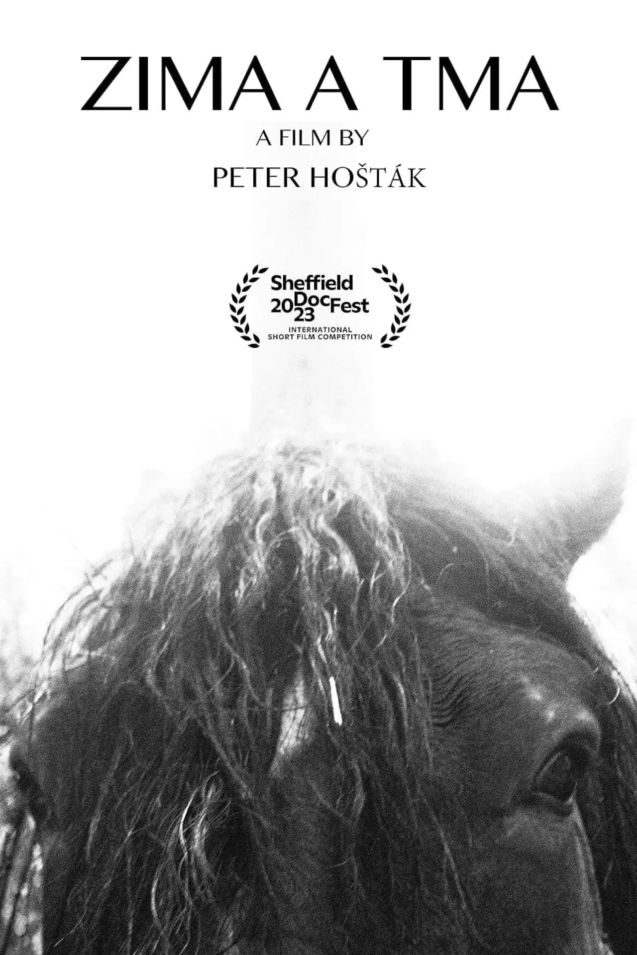 Movie poster "Cold and Dark"