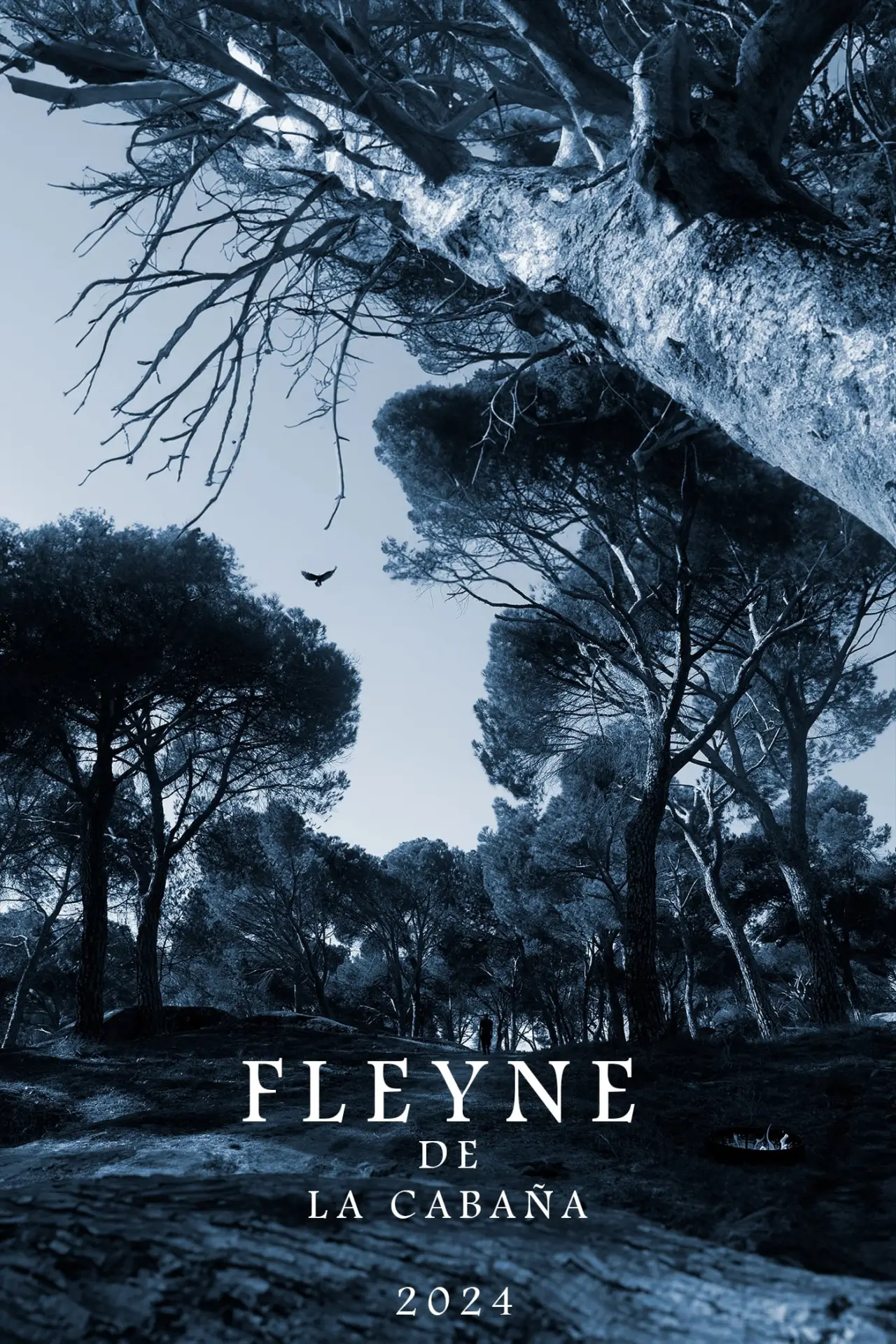 Movie poster "Fleyne: La Paloma Abandonada"