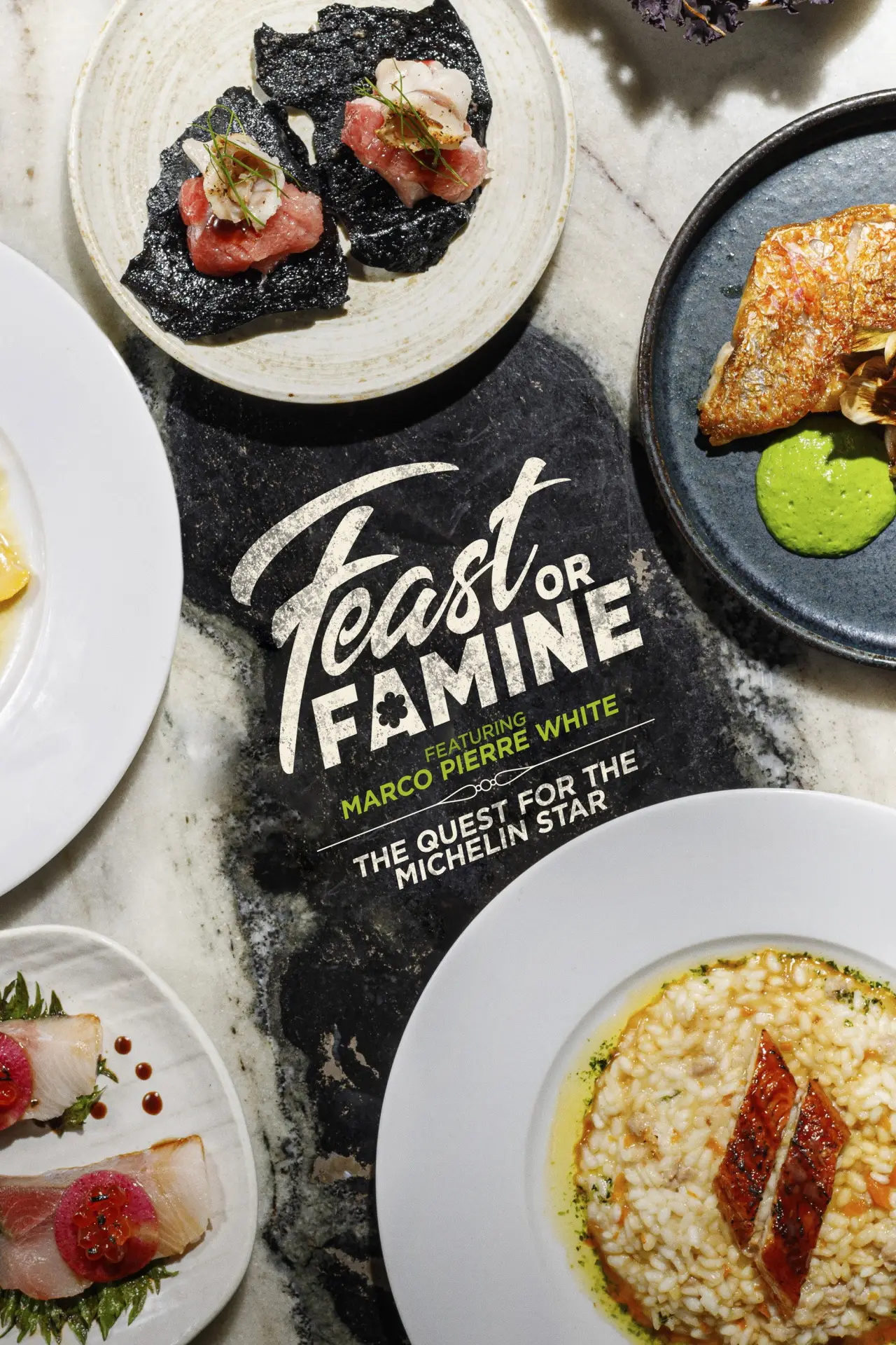 Movie poster "Feast or Famine: The Quest for the Michelin Star"