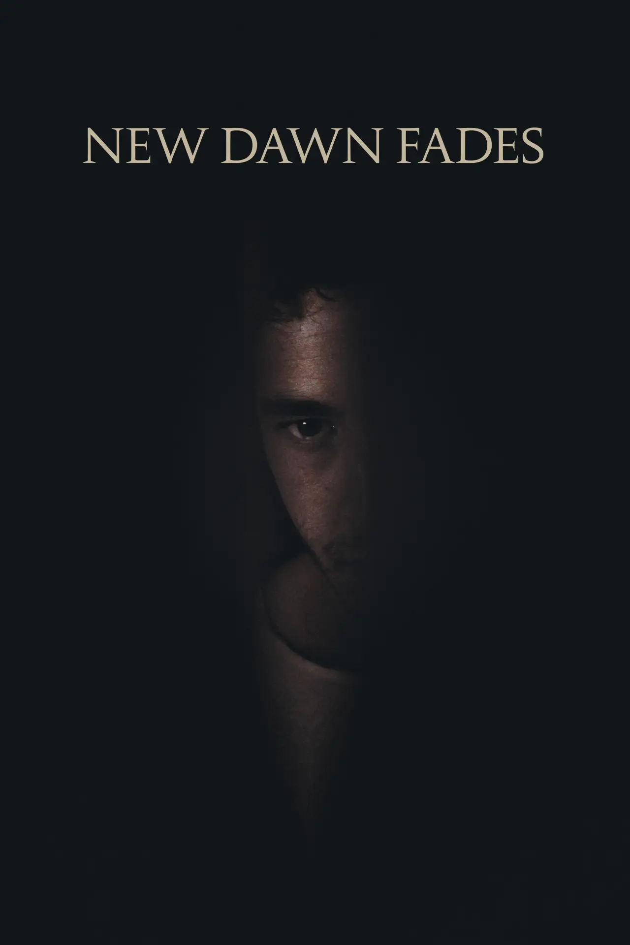 Movie poster "New Dawn Fades"