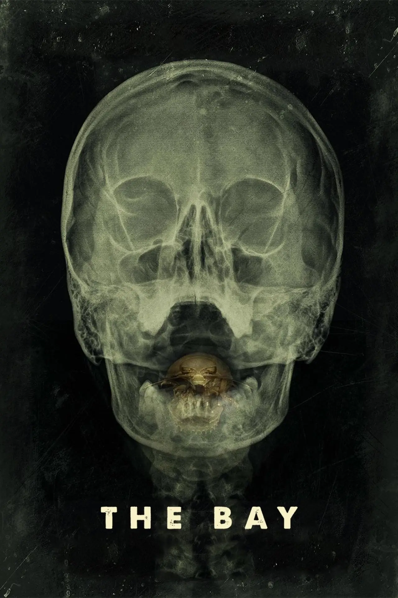Movie poster "The Bay"