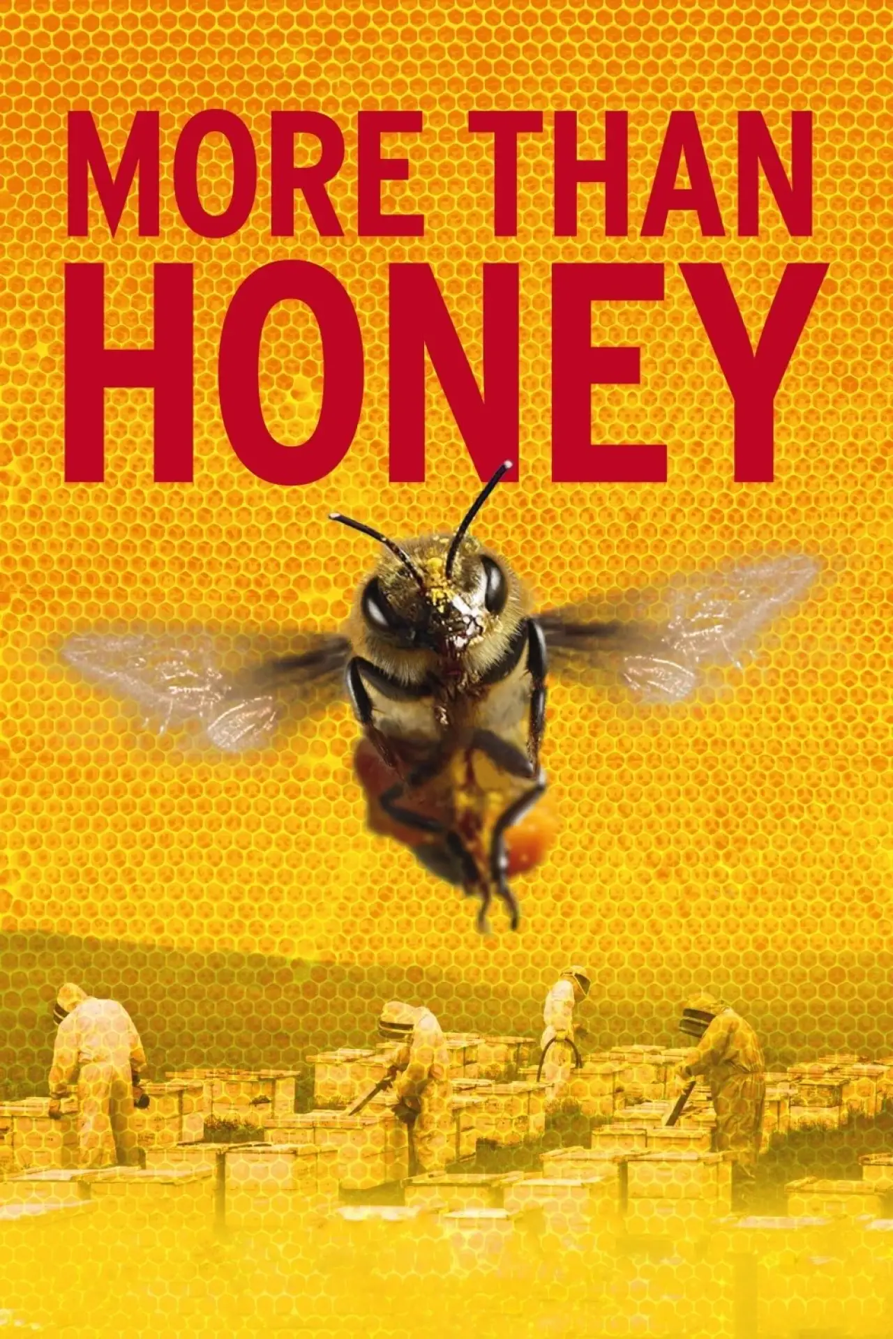 Movie poster "More Than Honey"