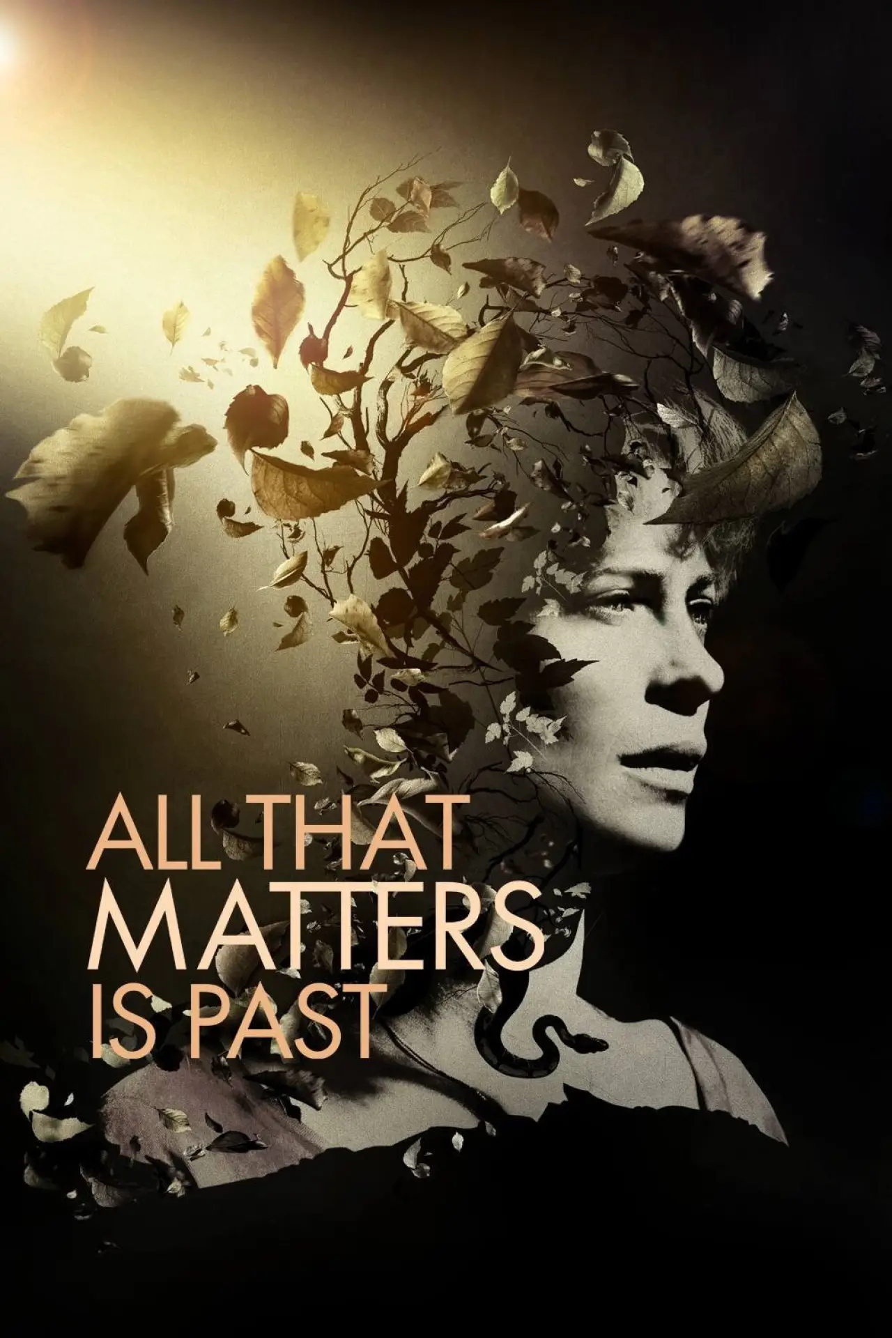 Movie poster "All That Matters Is Past"